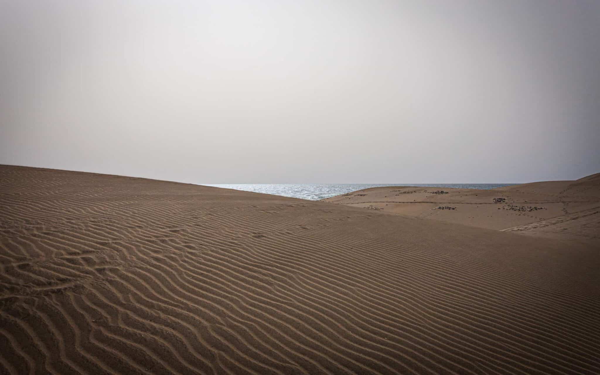 Der Blick über Sanddünen zum Meer bei Sonnenaufgang, ruhige Wüstenlandschaft.