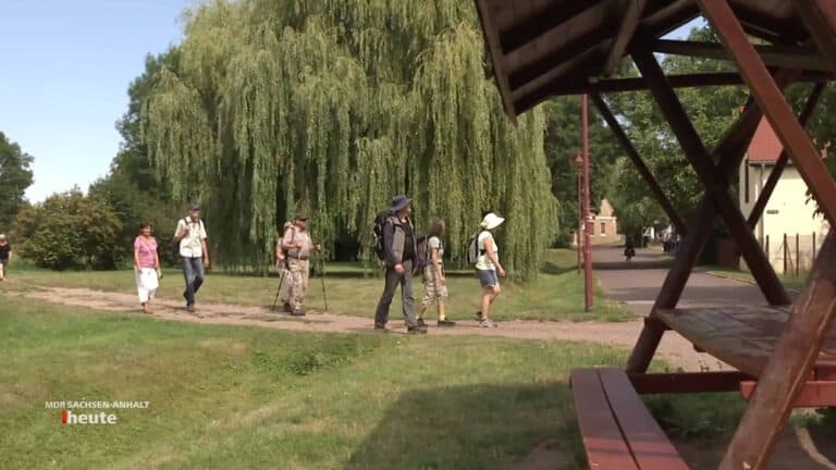 Gruppe von Menschen beim barrierefreien Wandern im Park.
