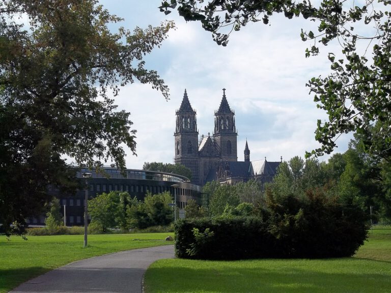 Ein grüner Park mit Weg und Bäumen vor einer historischen Kirche in Magdeburg.