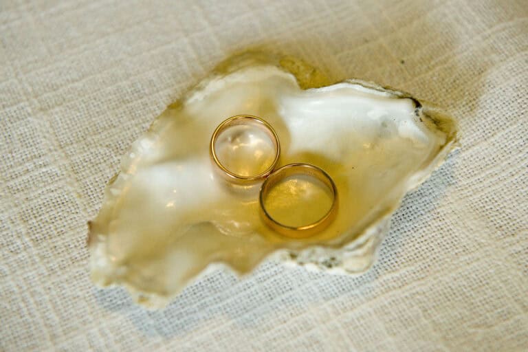 Zwei Eheringe auf einer Muschel, symbolisieren Liebe und Verbundenheit.