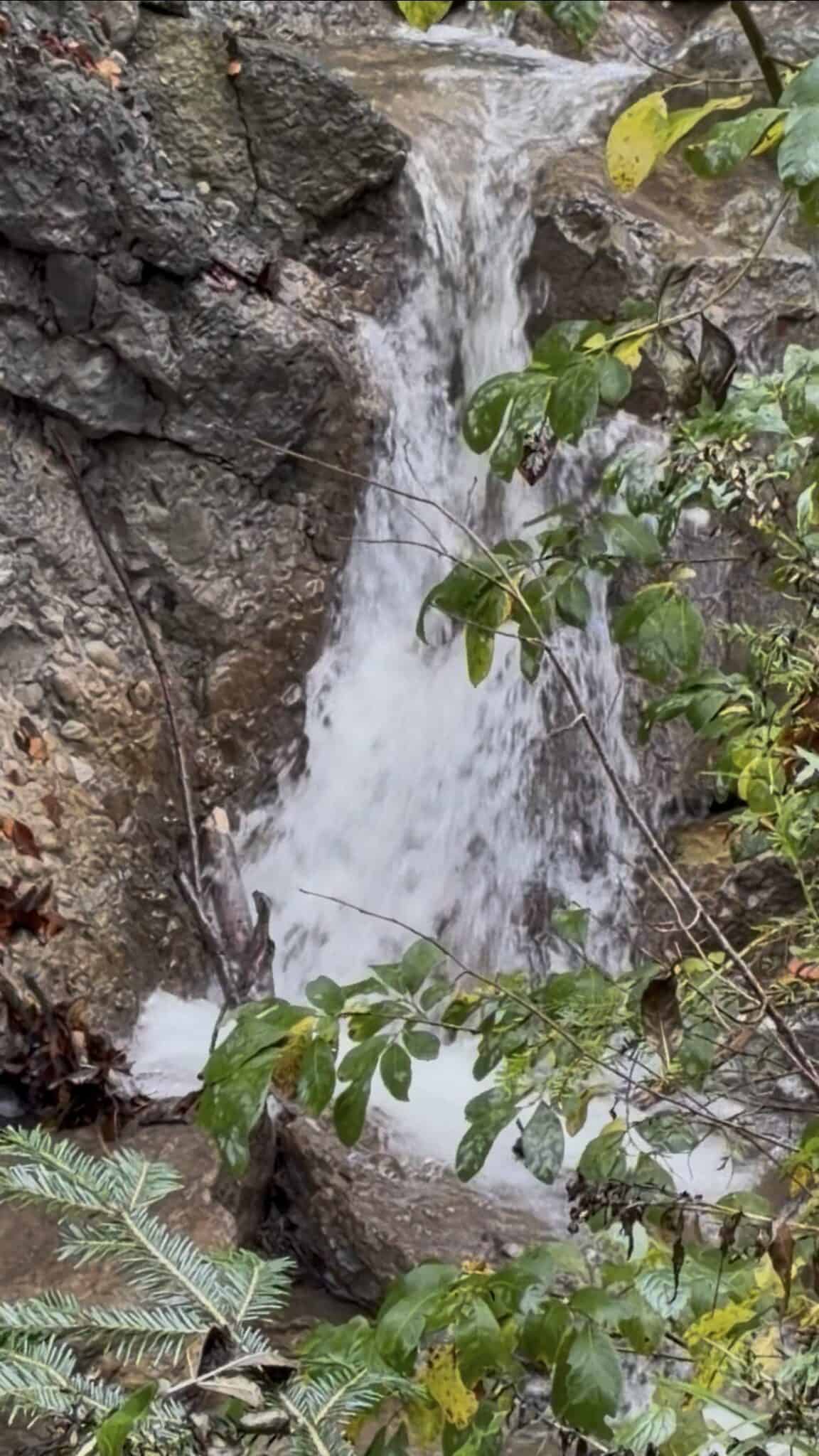 Kleiner Wasserfall in felsiger Schlucht mit grünem Laub.